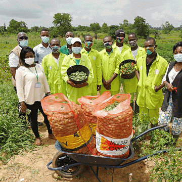 Côte d’Ivoire : La création 3 415 000 emplois à l’horizon 2025 visée