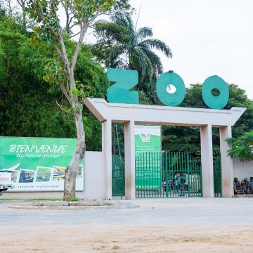 ph. zoo d'abidjan Côte d’Ivoire / Antre de la biodiversité : Le Zoo d’Abidjan rénové