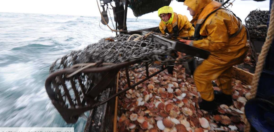Pêche illégale des chalutiers asiatiques et européens dans les eaux africaines – Pourquoi les pays africains doivent revoir les accords de pêche