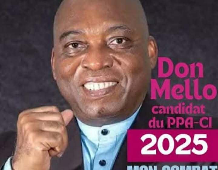 Election présidentielle de 2025 – Les ambitions d’Ahoua Don Mello suscitent une levée de boucliers au PPA-CI