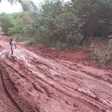 Reportage / Côte d’Ivoire – Comment les populations du département de Tai sont coupées du reste du pays