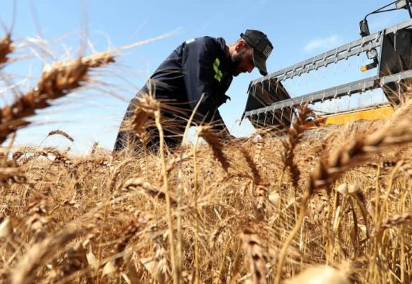 ph. Agriculture mondiale Agriculture mondiale – La France saisit l’opportunité des tensions en Mer noire pour effectuer son retour en Égypte