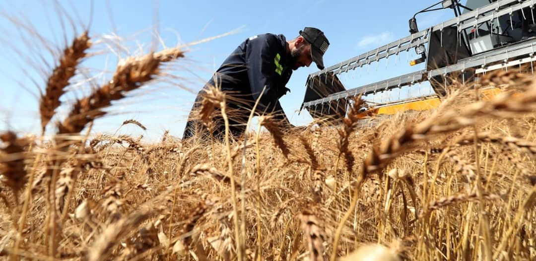 ph. Agriculture mondiale Agriculture mondiale – La France saisit l’opportunité des tensions en Mer noire pour effectuer son retour en Égypte