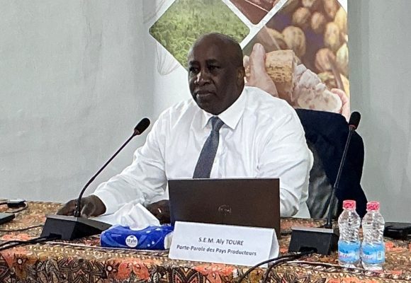 Cacao mondial – L’ICCO tient à Abidjan, la 114ème session ordinaire de son Conseil et Organes subsidiaires : Les assises en cours